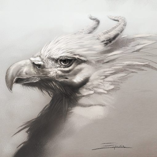 Griffin Study By Kaitlund Zupanic