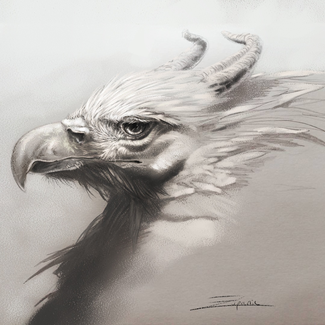 Griffin Study By Kaitlund Zupanic