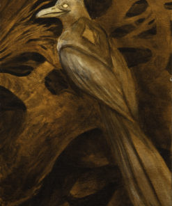 Messenger Birds - Magpie by Kaitlund Zupanic