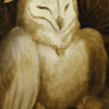 Messenger Birds - Owl by Kaitlund Zupanic