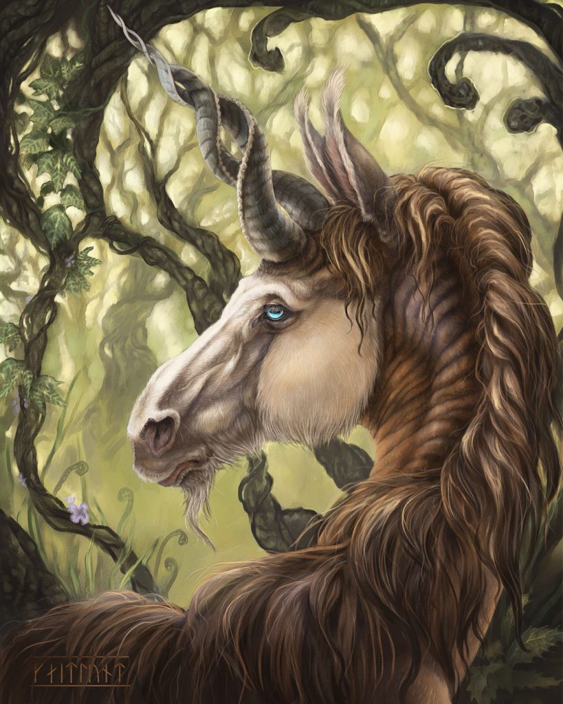 The Wilds by Kaitlund Zupanic