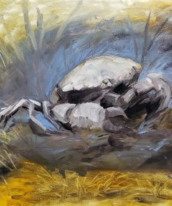 Fossilized Crab by Kaitlund Zupanic