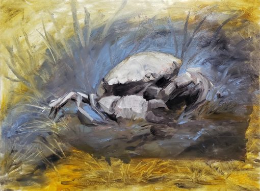Fossilized Crab by Kaitlund Zupanic