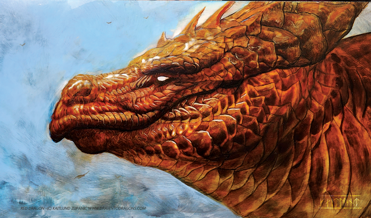 Red Dragon Head by Kaitlund Zupanic